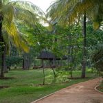 Meditation-Hut-L Meditation-Hut-L
