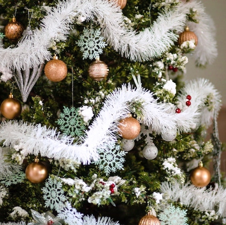 Where To Buy And Recycle Your Christmas Tree In Hong Kong