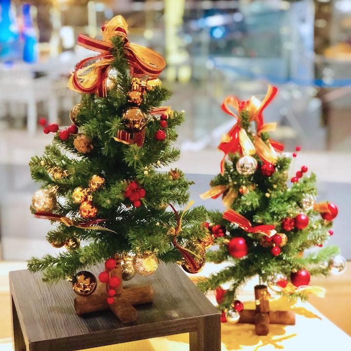 Where To Buy & Recycle Your Christmas Tree In Hong Kong