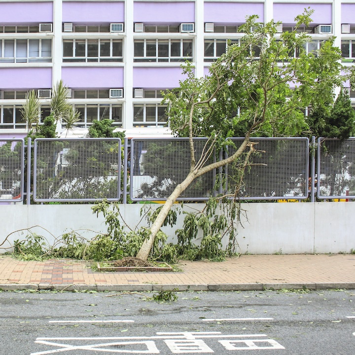 Hong Kong Typhoons: Your Ultimate Guide To Signals, Rain Warnings & More