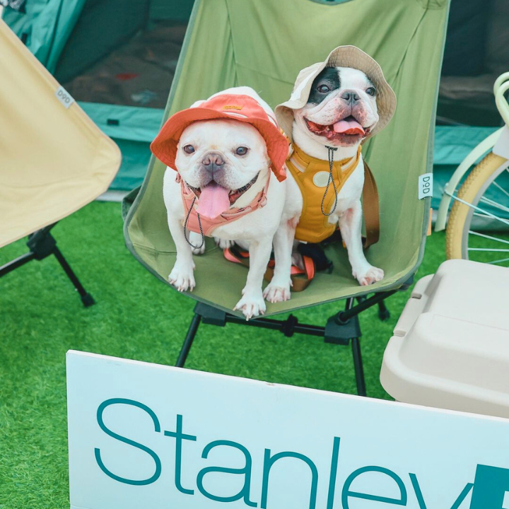 pet friendly mall Stanley Plaza