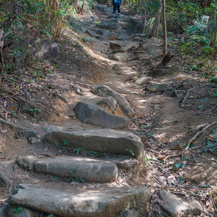 Tai Mo Shan hike Hong Kong Health & Wellness fitness steep steps at rotary park