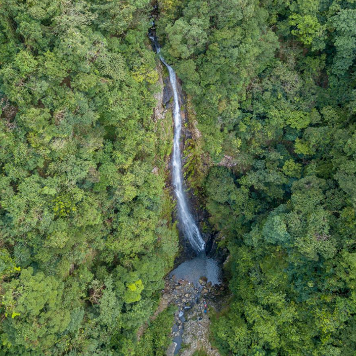 Tai Mo Shan Hong Kong waterfall hike Outdoors: Ng Tung Chai